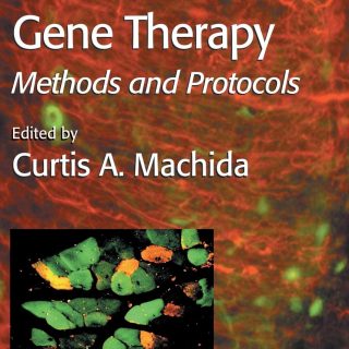 Viral Vectors for Gene Therapy: Methods and Protocols: 76 (Methods in Molecular Medicine)
